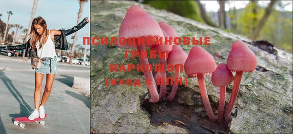 марки lsd Белокуриха