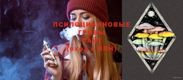 марки lsd Белокуриха