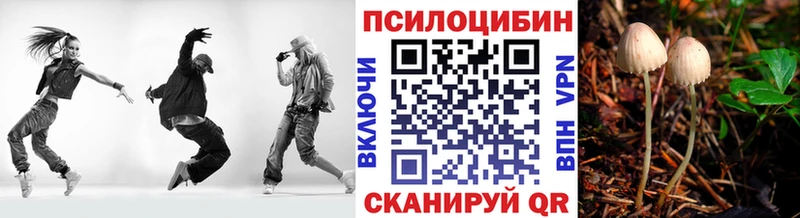 Галлюциногенные грибы Psilocybine cubensis Ярцево