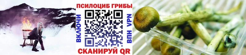 blacksprut Ярцево Псилоцибиновые грибы прущие грибы
